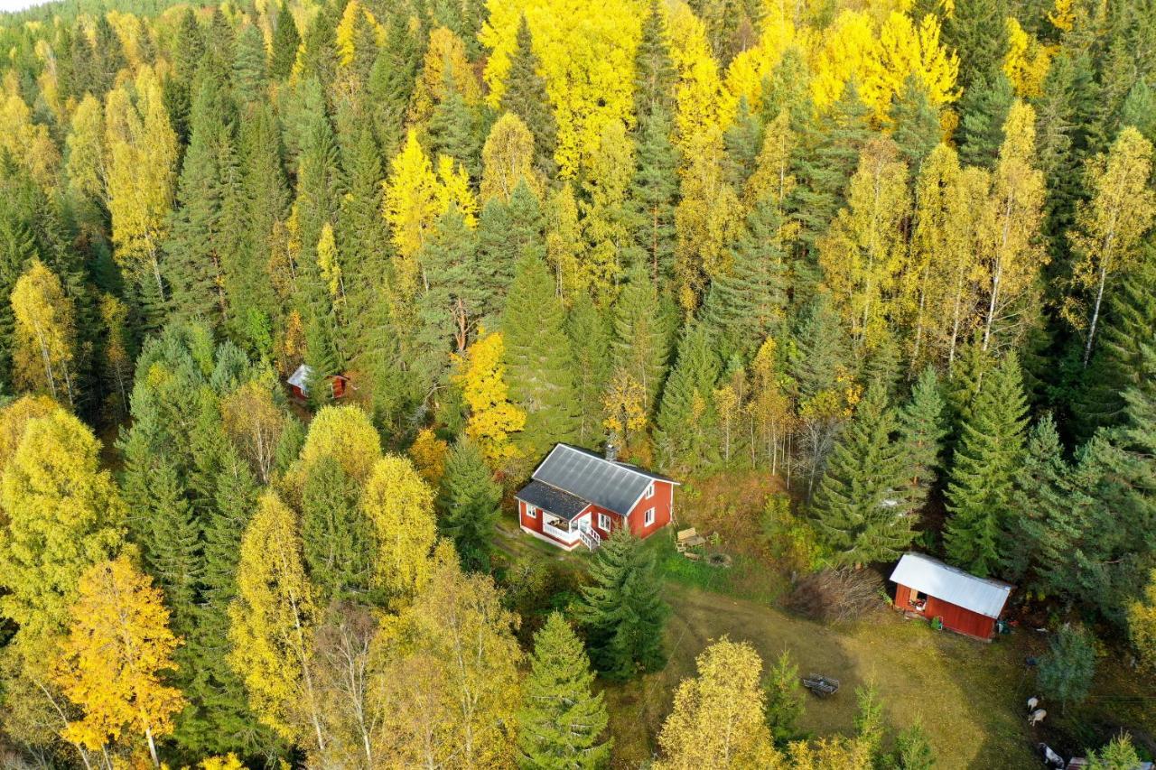 Little Forest House "Our Little Farm" Eksharad Экстерьер фото